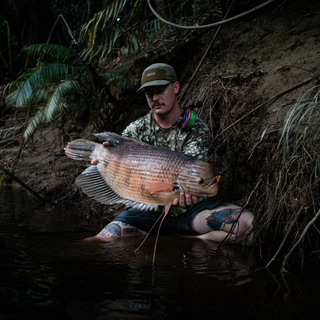 Red Kaloi On Fly