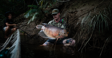 Red Kaloi On Fly