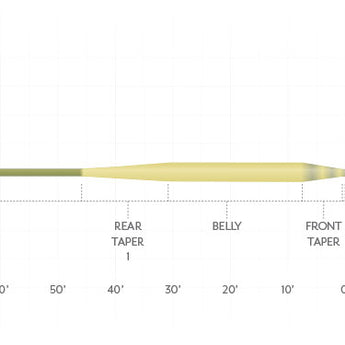 Scientific Angler Amplitude Smooth Carp Fly Line