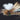 Swisher's Foam PMX Skwala Dry Fly