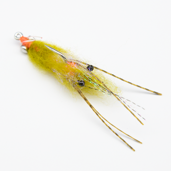 Manic Spawning Shrimp Olive