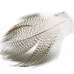 Mallard Flank Feathers
