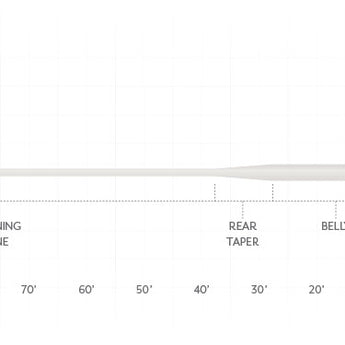 Scientific Angler Sonar Clear Saltwater Intermediate Fly Line