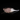 Mr Hanky Mouse Fly