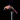 River Ninja Pink