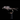 Assassin Black