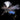 Wayne's Blowfly Dry Fly