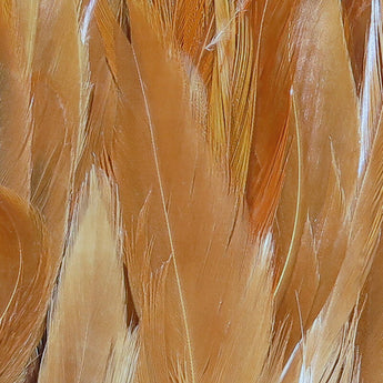 Woolly Bugger Saddle Hackle 6-7"