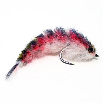 Micro Changer Fly - Rainbow Trout #6