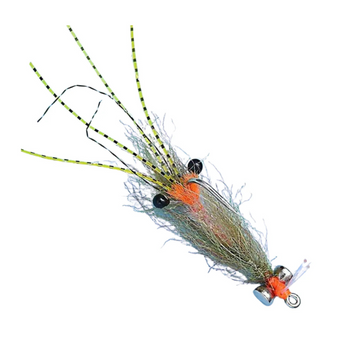 Spawning Shrimp Olive - EP