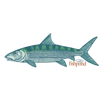 Flats Phantom Bonefish Sticker - Fishpond