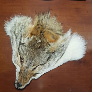 Coyote Mask
