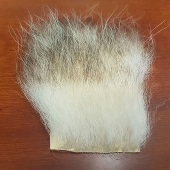 American Opossum Fur Patch