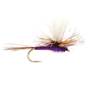 Purple Haze Dry Fly