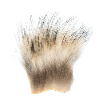 American Opossum Fur Patch