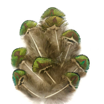Natural Peacock Feathers