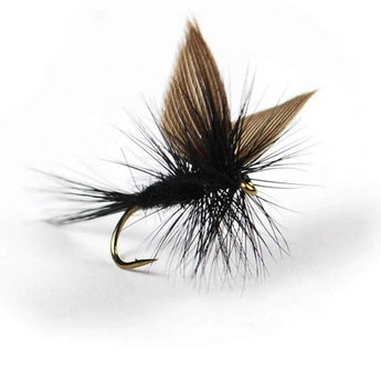 Black Gnat Dry Fly