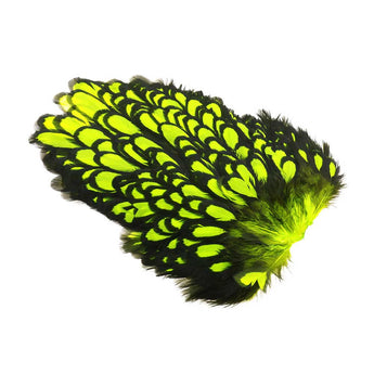 Whiting American Hackle Hen Saddle