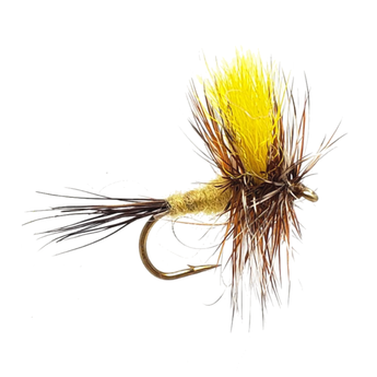 Mr Rapidian Dry Fly