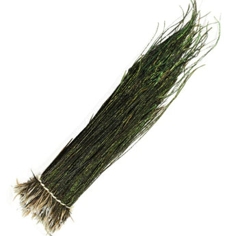 Peacock Herl