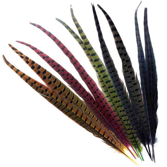 Pheasant Tail Feathers