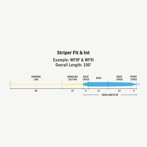 Rio Premier Striper Intermediate Line