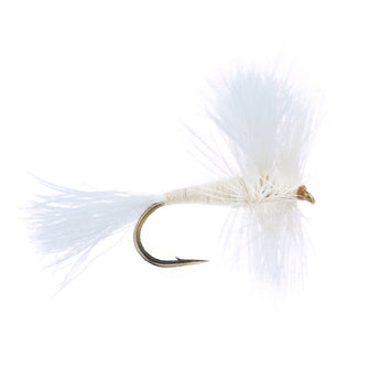 White Wulff Dry Fly